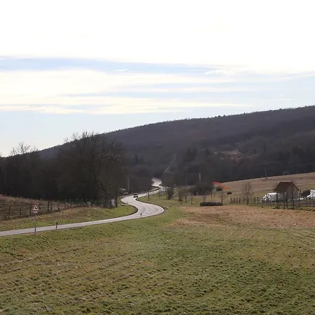 Viktoria Vendeghaz * Eplény